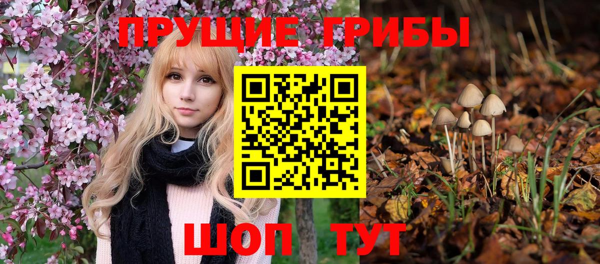 Кимовск  Галлюциногенные грибы мицелий  Вход с VPN 