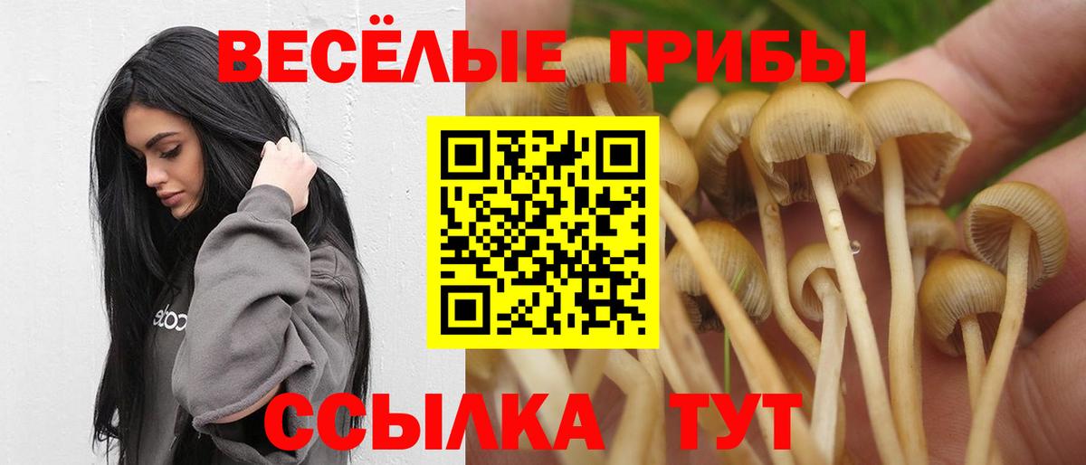 Псилоцибиновые грибы мицелий Кимовск